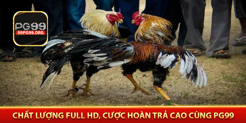 Chất lượng Full HD, cược hoàn trả cao cùng PG99