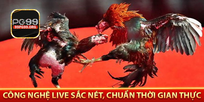 Công nghệ live sắc nét, chuẩn thời gian thực