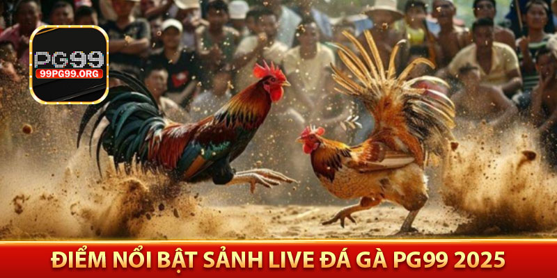 Điểm nổi bật sảnh live đá gà PG99 2025