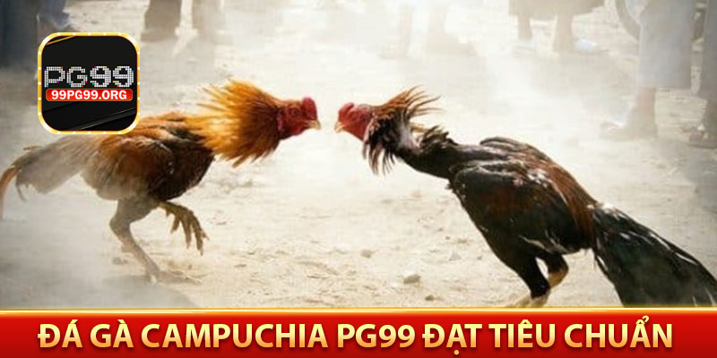 đá gà campuchia pg99 đạt tiêu chuẩn