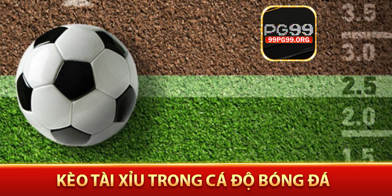 kèo tài xỉu trong cá độ bóng đá